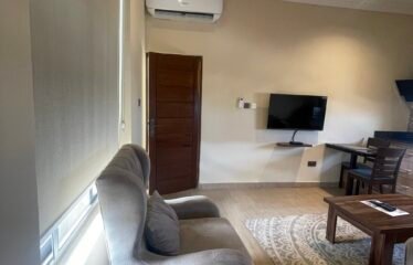 One bedroom furnished apartment, Tseaddo