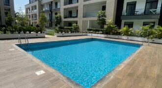 Furnished Studio apartment in Embassy Gardens , Cantonment