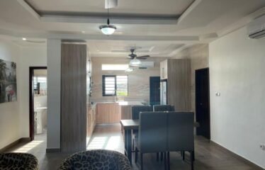 Furnished 2 bedroom apartment , Adjiringano