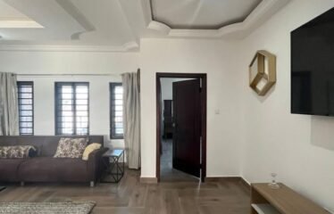 Furnished 2 bedroom apartment , Adjiringano