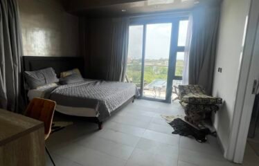 Luxury 1-Bedroom Apartment in the Heart of Cantonment, Ghana