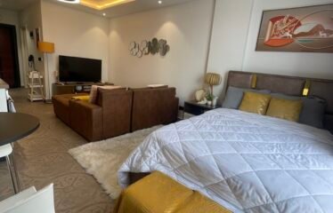 Luxurious Fully Furnished Studio Bedroom Apartment for sale in  Cantonment, Ghana