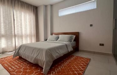 Chic 1-Bedroom Furnished Apartment in the Heart of Adjiringano, Accra