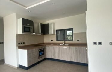 Luxurious Fully Furnished One Bedroom Apartment in Cantonment, Ghana