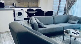 Furnished apartment for rent , East Legon