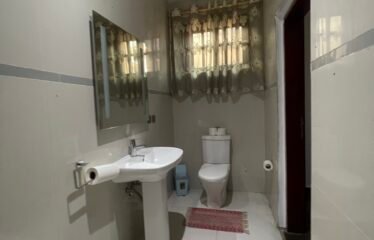 Exquisite 5 bedroom mansion for rent in Dzorwulu