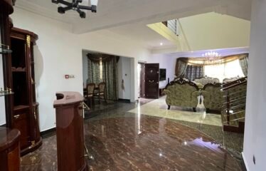 Exquisite 5 bedroom mansion for rent in Dzorwulu