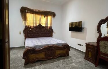 Exquisite 5 bedroom mansion for rent in Dzorwulu