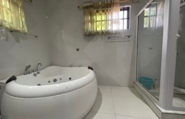 Exquisite 5 bedroom mansion for rent in Dzorwulu