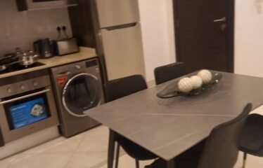 Two bedroom apartment for rent , Cantonment