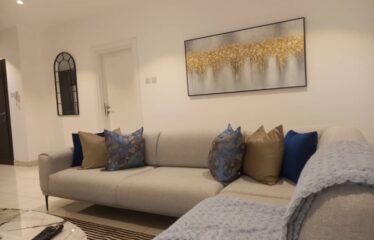 Two bedroom apartment for rent , Cantonment