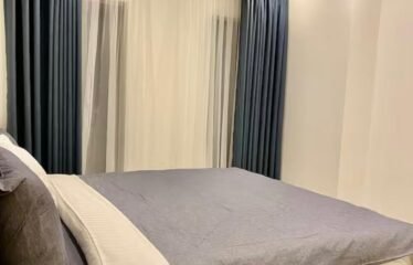 2 Bedroom Furnished Apartment for Rent at Adinkra Heights Cantonments