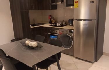 Two bedroom apartment for rent , Cantonment