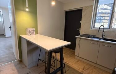 One bedroom Apartment for rent , Airport