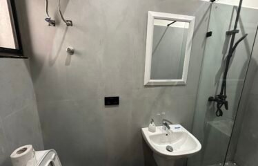 Fully Furnished 2-Bedroom Apartment for Rent in Dzorwulu
