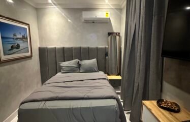 Fully Furnished 2-Bedroom Apartment for Rent in Dzorwulu