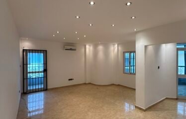 Elegant 4-Bedroom Townhouse for Rent in Cantonment