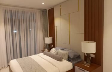 Two bedroom apartment for rent , Cantonment