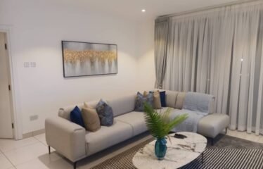 Two bedroom apartment for rent , Cantonment