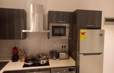 Two bedroom apartment for rent , Cantonment