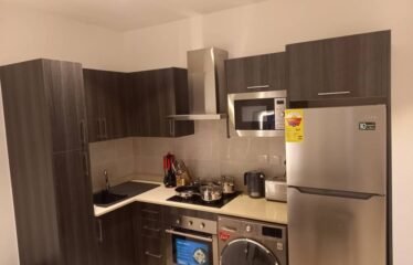 Two bedroom apartment for rent , Cantonment