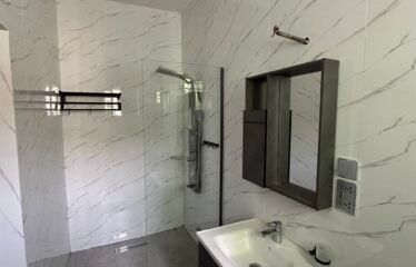 Elegant 4-Bedroom House in West Legon