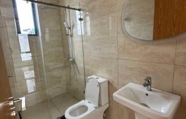LUXURY 4-BEDROOM HOME AT EAST LEGON HILLS