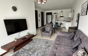 1-Bedroom Fully Furnished Apartment for Rent – Cantonment