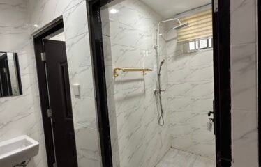 2-Bedroom Apartment for Rent – Tse Addo